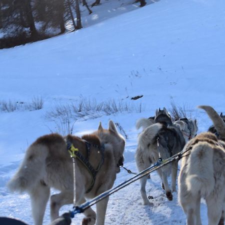 Residence Le Schuss Studio Montagne En Bas Des Pistes Vars  Εξωτερικό φωτογραφία