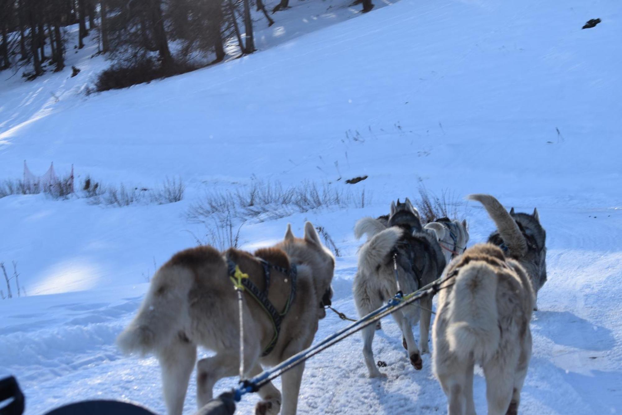 Residence Le Schuss Studio Montagne En Bas Des Pistes Vars  Εξωτερικό φωτογραφία